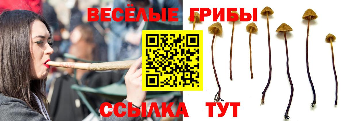 Минеральные Воды  Псилоцибиновые грибы Magic Shrooms  Вход с VPN  где можно купить   Псилоцибиновые грибы мухоморы 