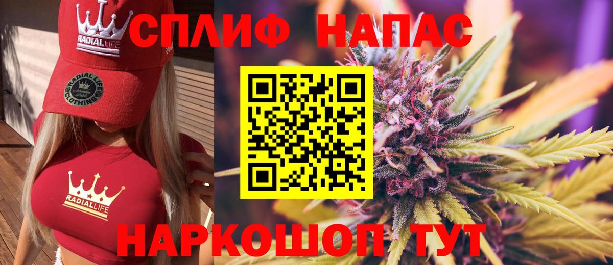 Бошки Шишки конопля Минеральные Воды